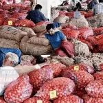 kurnool-onion-market-challenges