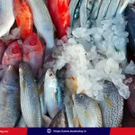 amaravati-fish-compete-local-people-construction-site"