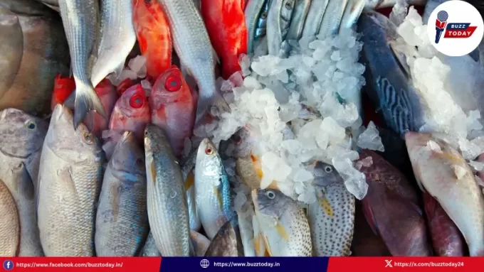 amaravati-fish-compete-local-people-construction-site"