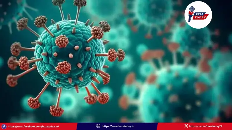 HMPV వైరస్‌ పై సర్కార్ అప్రమత్తం: అన్ని ప్రభుత్వ ఆసుపత్రులకు అలర్ట్- News Updates - BuzzToday