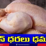 bird-flu-effect-chicken-prices-drop-in-telugu-states