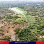 hyderabad-central-university-land-dispute-key-statement