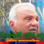 jagan-vidhanalapai-cpi-narayana-vimarsalu