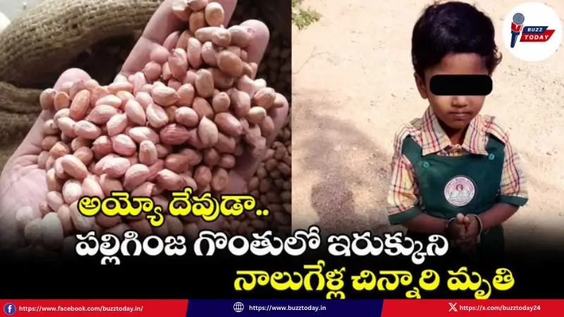 tanvika-chinnari-marana-peanut-throat-incident