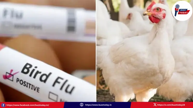 bird-flu-in-hyderabad