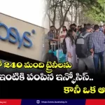 infosys-240-trainees-layoff-training-assessment