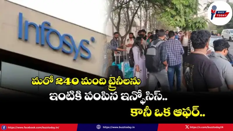 infosys-240-trainees-layoff-training-assessment