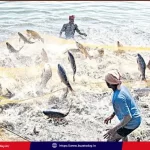 andhra-fishing-ban-2025-chepala-veta-nishedham