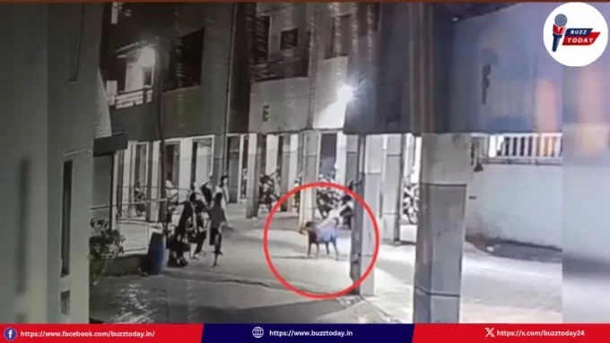 pempu-kukka-dadi-baby-killed-ahmedabad