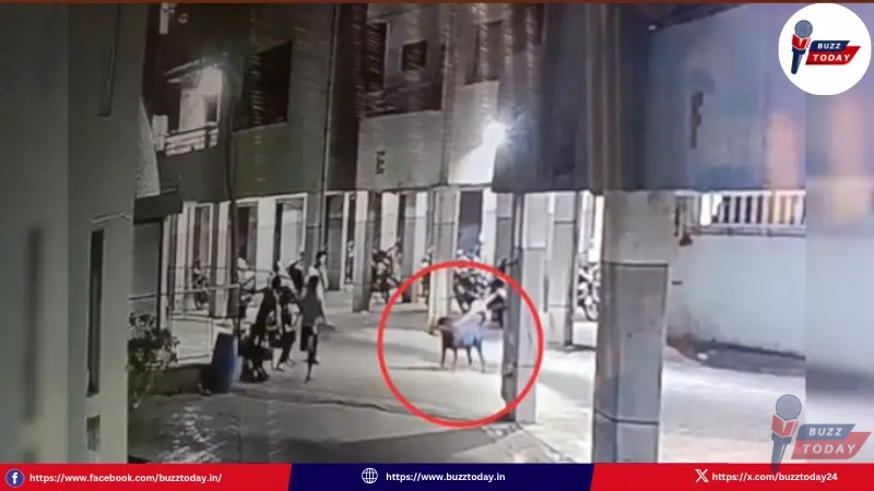 pempu-kukka-dadi-baby-killed-ahmedabad