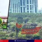 kanchagachibowli-tree-cutting-supreme-court-response