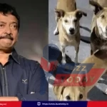 ram-gopal-varma-stray-dogs-comments