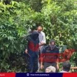 dharmasthala-case-skeleton-found-sit-excavation