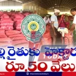 chandrababu-naidu-onion-farmers-support