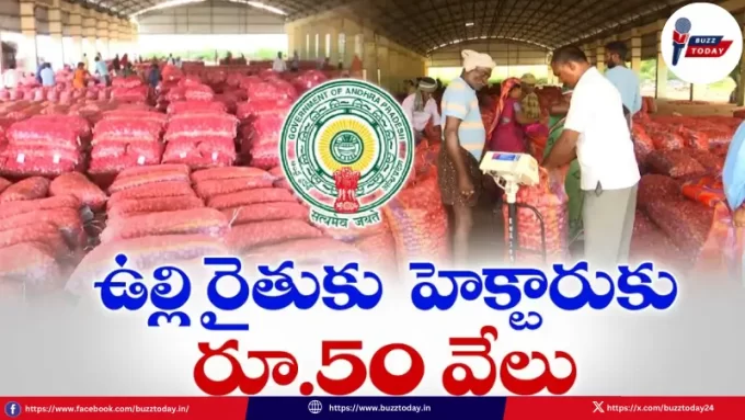 chandrababu-naidu-onion-farmers-support