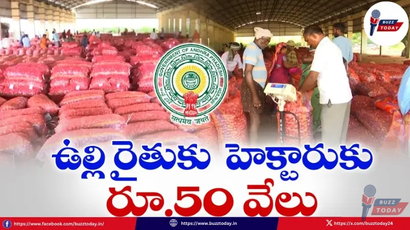 chandrababu-naidu-onion-farmers-support