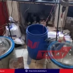 hyderabad-drugs-factory-fatima-murad-sheikh-12000-crore-racket