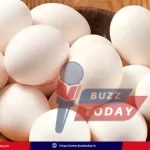 telugu-rashtralalo-guddu-dharalu