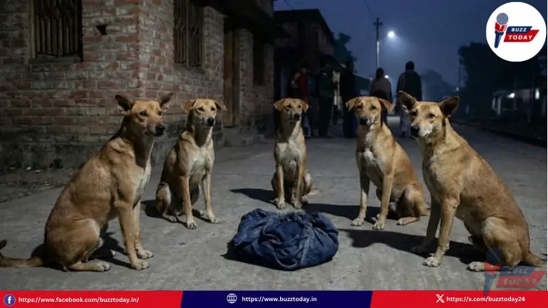 abandoned-baby-west-bengal-story