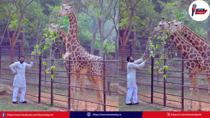 pawan-kalyan-adopts-giraffes-vizag-zoo-mother-birthday-2026