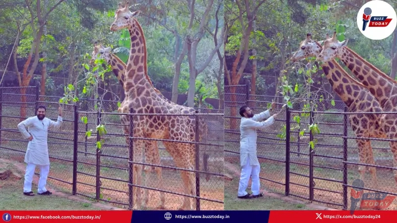 pawan-kalyan-adopts-giraffes-vizag-zoo-mother-birthday-2026