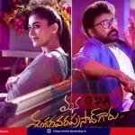 mana-shankara-vara-prasad-garu-movie-collections