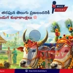 Kanuma Special Story