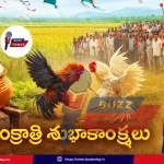 sankranthi-subhakankshalu