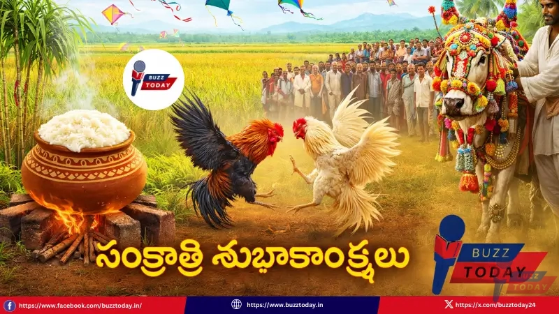 sankranthi-subhakankshalu