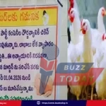 telangana-chicken-shops-indefinite-bandh-from-april-1/