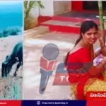 yadadri-bhuvanagiri-father-kills-two-year-old-daughter-due-to-family-disputes/