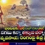 el-nino-impact-on-indian-monsoon-imd-warning-agriculture-plan