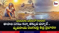 el-nino-impact-on-indian-monsoon-imd-warning-agriculture-plan