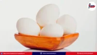 egg-price-hike-2026-poultry-crisis