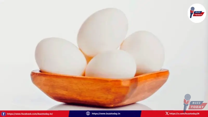 egg-price-hike-2026-poultry-crisis